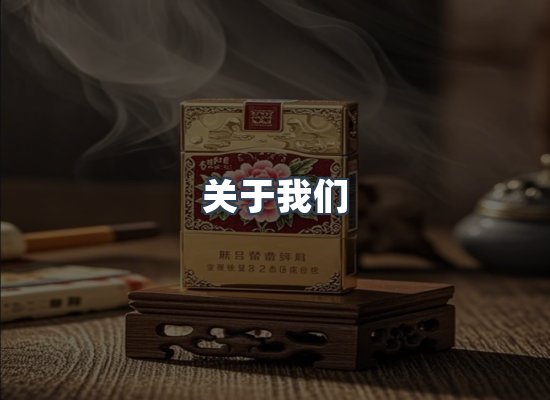 关于我们